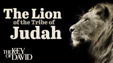 The Lion Of Judah Youtube The Next Era of Judah and the Lion.  The Lion Of Judah Youtube